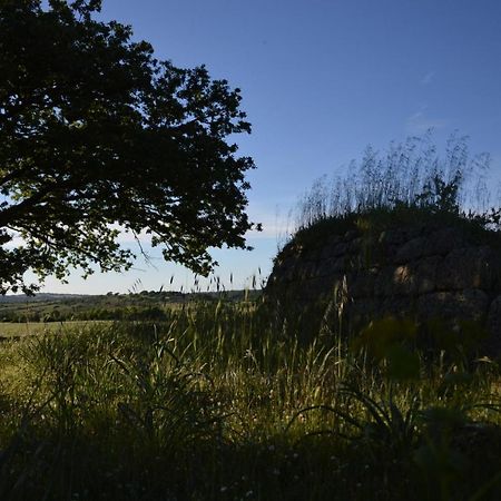 B&B La Genziana Fonni Buitenkant foto