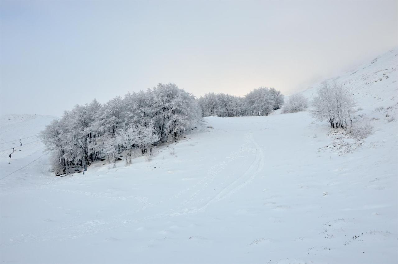 B&B La Genziana Fonni Buitenkant foto