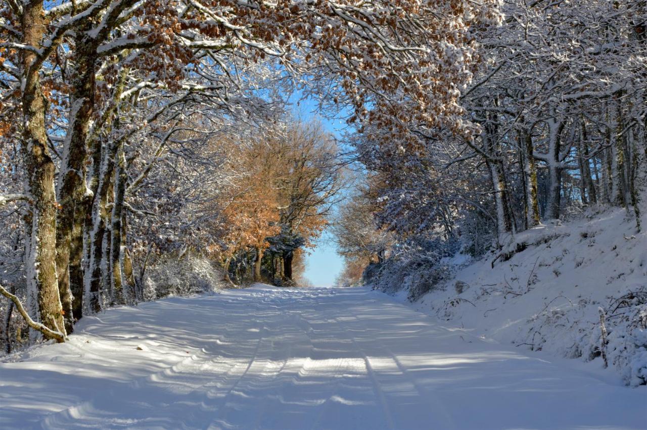 B&B La Genziana Fonni Buitenkant foto