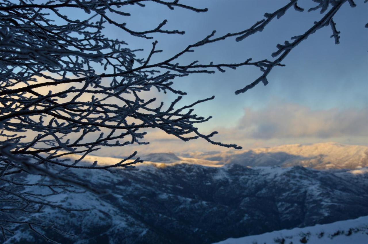 B&B La Genziana Fonni Buitenkant foto